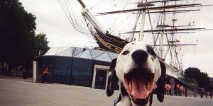 100 Homeless People Were Given Disposable Cameras And These Are Some Of The Amazing Results