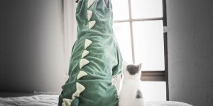 Adorably Wrinkly Shar Pei Dons Delightful Costumes with a Stoic Expression