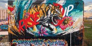 Incredible Street Art Murals By David 'Meggs' Hooke