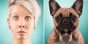 Like Owner, Like Dog: Photographer Captured Dog Owners Mimicking Their Best Friends