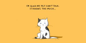 15 Illustrated Truths About Cats