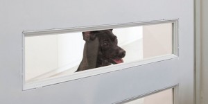Modern Home Features a Staircase Designed Specifically for Small Pets