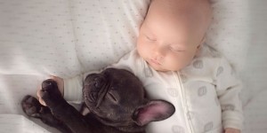 Portraits of a Baby Boy and Bulldog Who Were Born on the Same Day