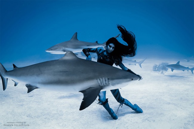 A Real-Life Mermaid Who Swims With Sharks Using Her Fish Tail And Holds ...