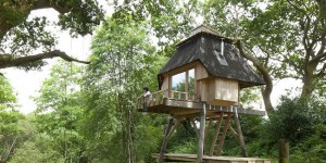 Secluded Timber Cabin on Stilts is a Creative Escape for Writers