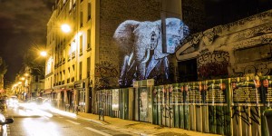 Street Artist Projects Fashionista Animals On Buildings In Paris