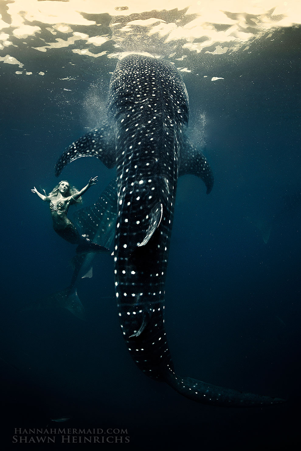 A Real-Life Mermaid Who Swims With Sharks Using Her Fish Tail And Holds ...