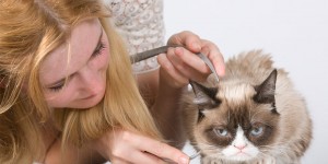 Grumpy Cat Not Happy to Be Named First Madame Tussauds Cat