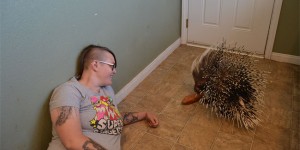 A Girl Collects Porcupine's Shed Quills And Makes Different Things Out Of Them