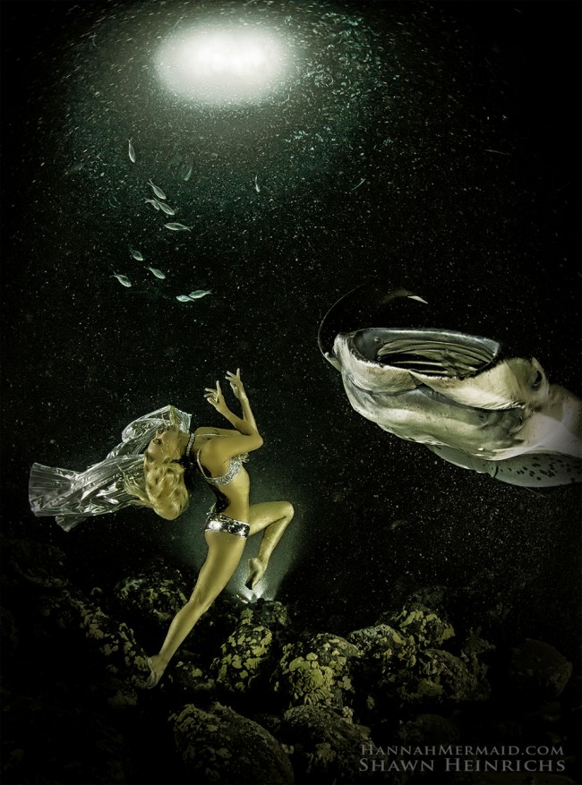 A Real-Life Mermaid Who Swims With Sharks Using Her Fish Tail And Holds ...