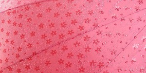These Japanese Umbrellas Reveal Hidden Patterns When Wet