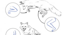 Young Artist Documents Her Daily Struggles Of Learning To Draw