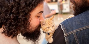 Biker Saves Injured Kitten and Continues His Trip While Caring for Him