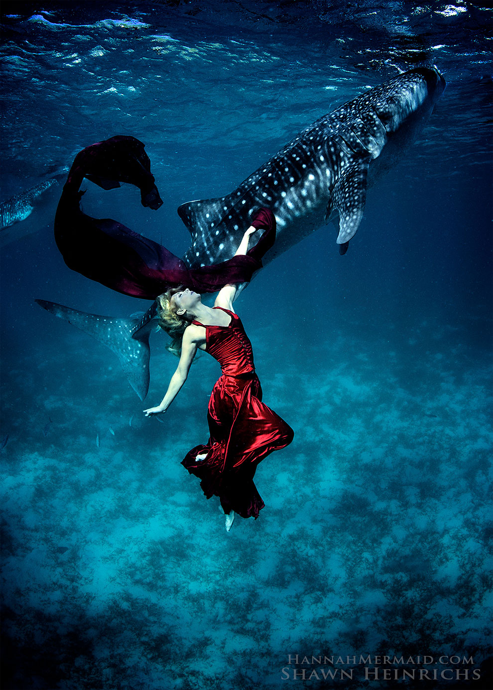 A Real-Life Mermaid Who Swims With Sharks Using Her Fish Tail And Holds ...
