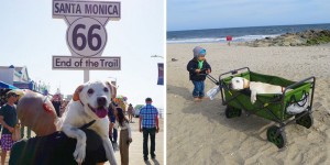 Heartbroken DJ Takes His Terminally Ill Dog on a Bucket List Adventure Across America