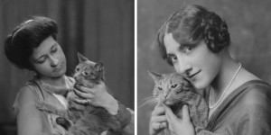 Early 1900s Portrait Studio Used Cuddly Cat As Adorable Prop