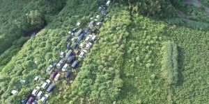 Amazing Images Reveal How the Exclusion Zone Around Fukushima Has Been Abandoned to Become an Overgrown Wilderness