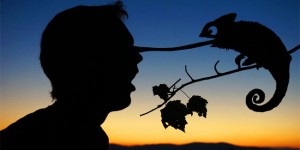 This Guy Uses Sunsets as Inspiration for Creative Selfies