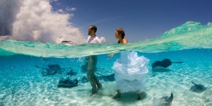 Selection Of Amazing Photos From The National Geographic 2015 Photo Contest