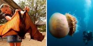 15 Pictures of Nature That Are One Big NOPE