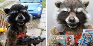 Talented Mom Hand Crafts an Incredibly Realistic ‘Rocket Raccoon’ Costume for Her 6-Year Old Son