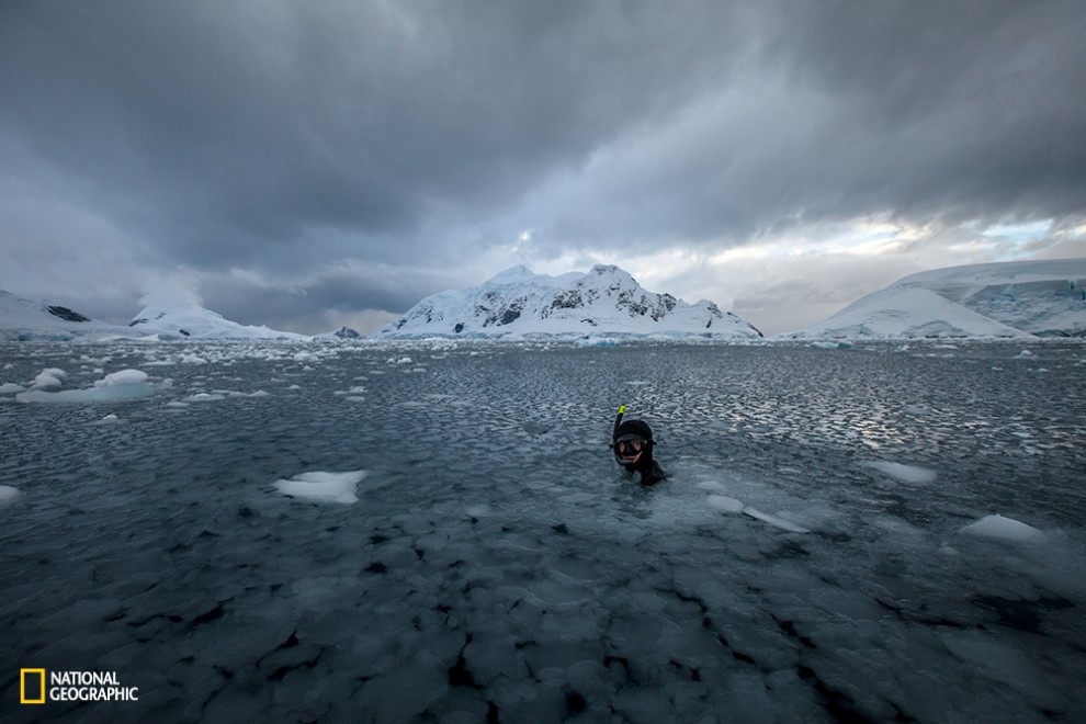 Freediving session in Antarctica...not even cold!