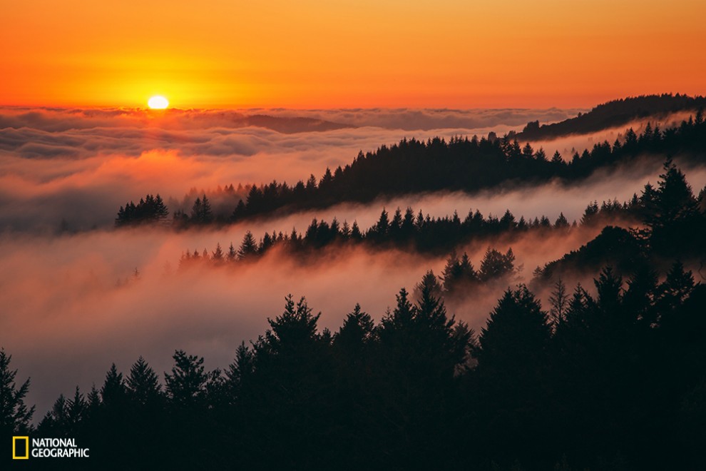 A warm and peaceful sunset above the fog at Mount Tamalpais, Northern California.