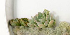 Sleek Vertical Planters Let You Grow an Elegant Garden Indoors