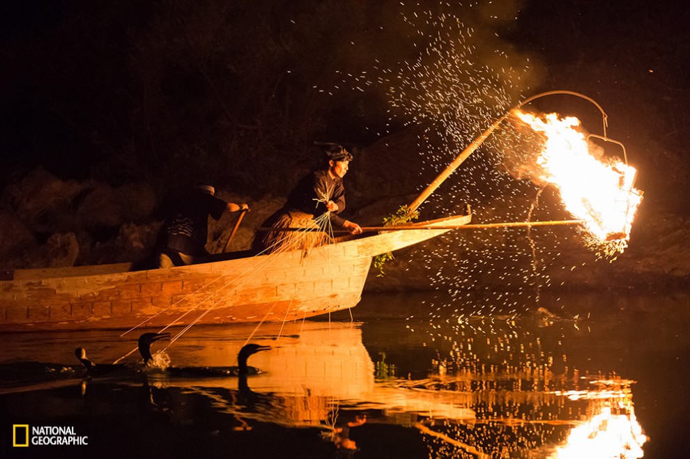 Ukai Japan has a history of more than 1300, it is one of the traditional fishing method that has been done in countries such as China.People use cormorants to catch fish in the light of the lamp bonfire.
