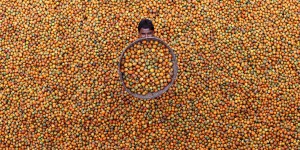 The Winners of the 10th Annual CGAP Photo Competition
