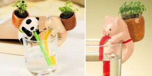 Cute Self-Watering Animal Planters