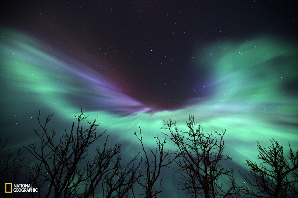 Stunning northern lights show in Estonia. I have never seen such spectacular show before. It is not everyday event to see northern lights in Estonia especially so mighty ones. This photo reminds me an angel with wings widely spread. Certainly there are some greater powers than human can imagine.