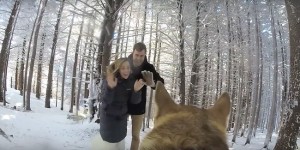 Couple's Dog Is the Cameraman On Their Enchanting Wedding Day