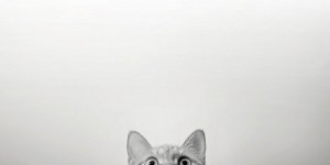 15 Wonderfully Satisfying Photographs to Put Your Tired Mind to Rest