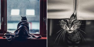 Young Woman Captures Expressive Photos Of Cats To Cope With Insecurities And Bullying Memories