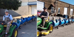 80-Year-Old Man Builds A Dog Train To Take Rescued Stray Dogs On Adventures