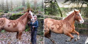 This Creative Hairdo Is All The Rage On The Farm