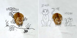 Doodle Challenge Transforms Ordinary Cat Photo into Fantastically Amusing Scenes