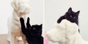 Dog-Shaped Scratching Post Lets Cats Have Their Sweet Revenge