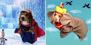 Do Enjoy This Dog Dressed Up As Various Disney Characters
