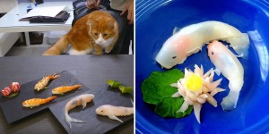 Sushi That Looks Like Real-Life Swimming Koi In A Few Simple Steps