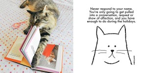 Advice From Cats On How To Survive The Holidays