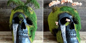 These Beautiful Bonsai Skulls Bring The Dead Back To Life