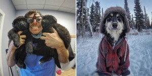 This Pet Dentist From Alaska Conquered The Internet With His Indescribably Cute Dogs
