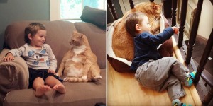 Unwanted Cat Becomes This Little Boy’s Guardian, Following Him Everywhere