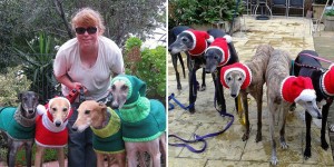 Woman Quits Job to Knit Over 300 Coats and Hats for Abandoned Greyhounds