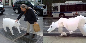 This Artist Has Created The Inflatable Air Bear Made Of Plastic Bag