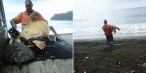 Man Pays $50 For A Sea Turtle At The Market, Releases It Back Into The Sea