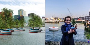 A Floating Forest Is Being Installed In The City Of Rotterdam