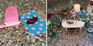 There Has Been A Dead Cockroach In The Anthropology Building's Stairwell For At Least Two Weeks. Some Enterprising Person Has Now Made Her A Little Shrine.